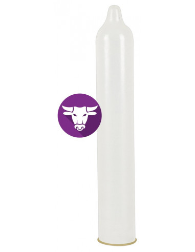 Secura El Toro pack of 100