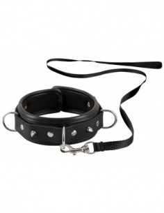Collar Leash 2