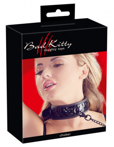 Collar with Leash