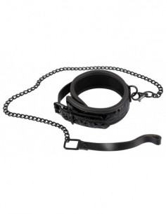 Collar with Leash 2
