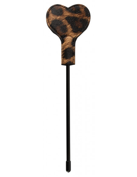 Paddle Leo