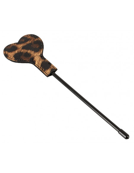 Paddle Leo