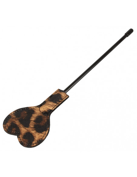 Paddle Leo