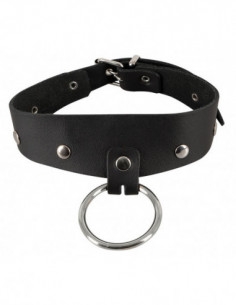 Leather collar 2