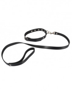 Leather Collar and Leash - ZADO 2