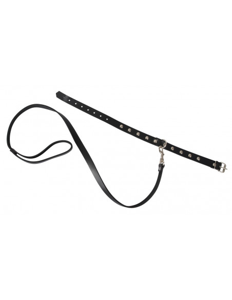 Leather Collar and Leash - ZADO