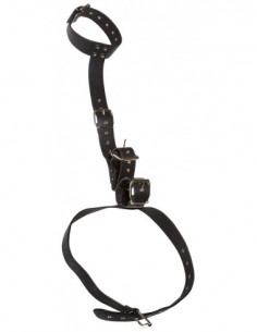 Neck Restraint with Handcuffs 2