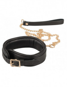 Leather Collar and Leash gold 2