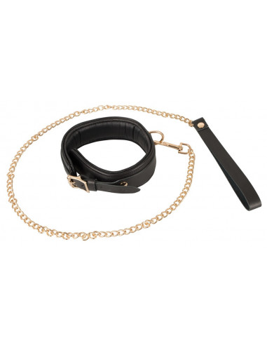 Leather Collar and Leash gold