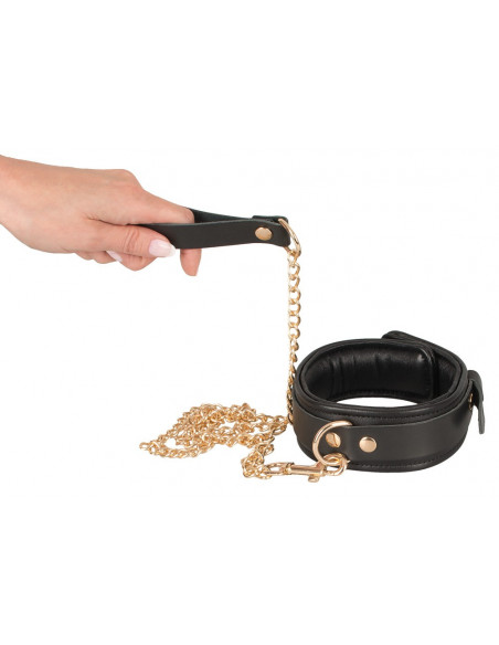 Leather Collar and Leash gold