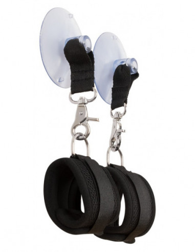 Bad Kitty Restraints Suction C
