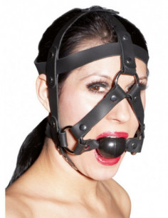 Leather Head Harness and Gag 2