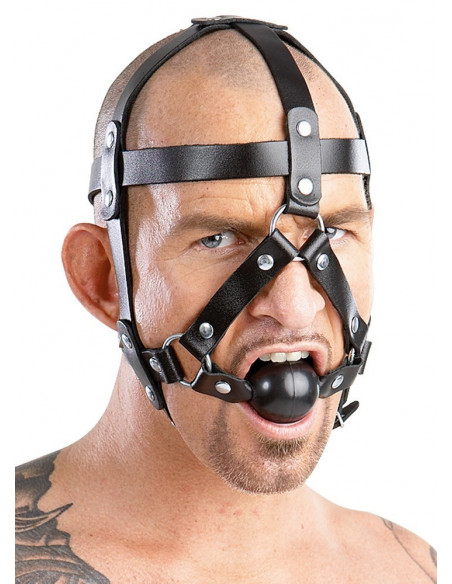 Leather Head Harness and Gag