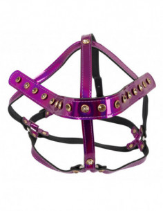 Head Harness 2