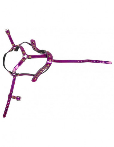 Head Harness