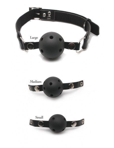 FFS Ball Gag Training System