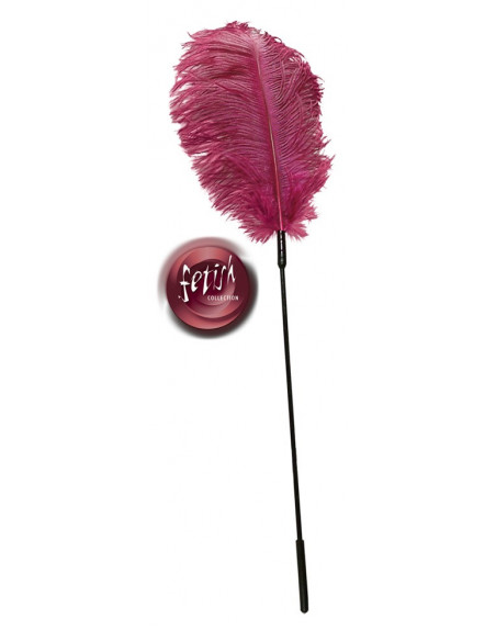 Pink feather