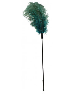 Turquoise feather