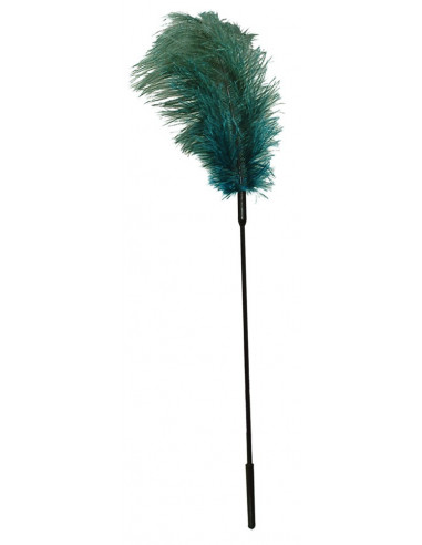 Turquoise feather