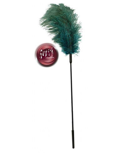 Turquoise feather