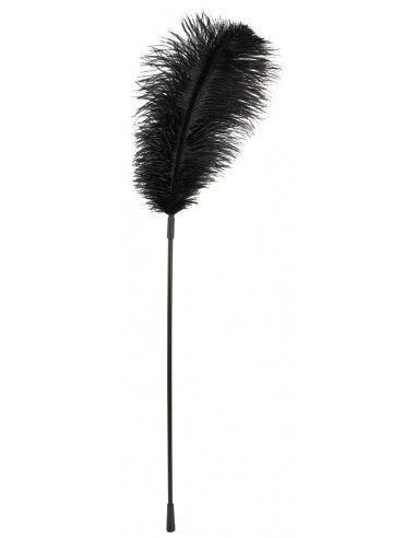 Black feather Bad Kitty