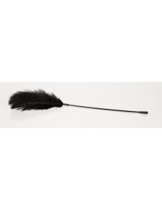 Black feather Bad Kitty 2