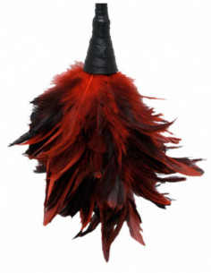 FFS Frisky Feather Duster 2