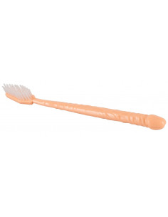 Penis Shaped Toothbrush 2
