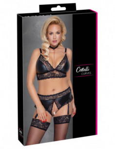 Bra and Suspender Briefs 4XL