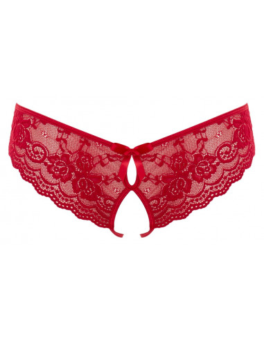 Lace Briefs Crotchless XL