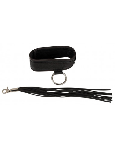 Bad Kitty Collar and Flogger
