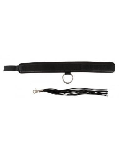 Bad Kitty Collar and Flogger