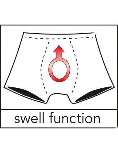 Men's Briefs XL - Svenjoyment