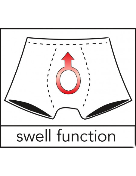 Men's Briefs XL - Svenjoyment