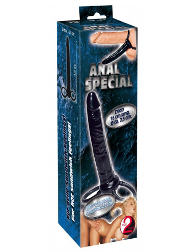 Anal Special