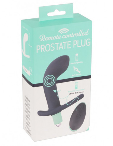 RemoteControlled Prostate Plug