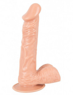 European Lover medium 2