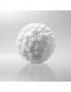 Tenga Geo Coral 2