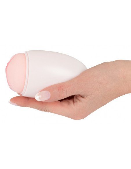 Pocket Pussy mini