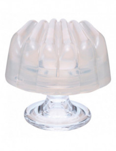 iroha petit SHELL 2
