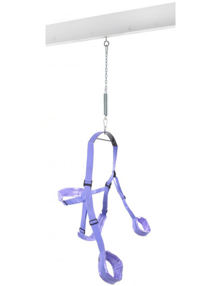 FFS Fantasy Swing Purple