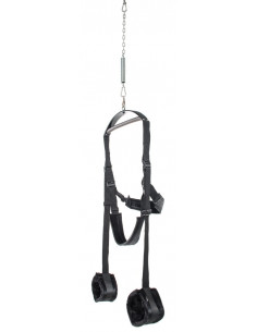FFS Spinning Fantasy Swing 2