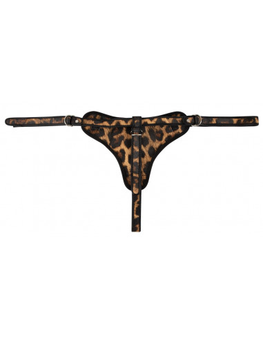String Leo