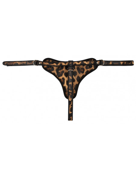 String Leo