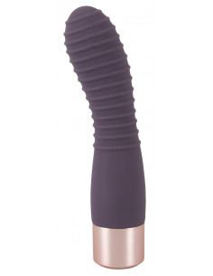 Elegant Vibrator Flexy Vibe 2