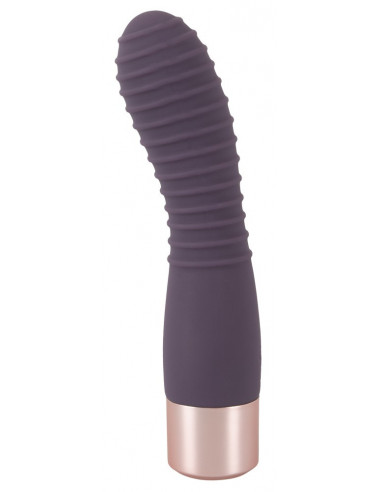 Elegant Vibrator Flexy Vibe
