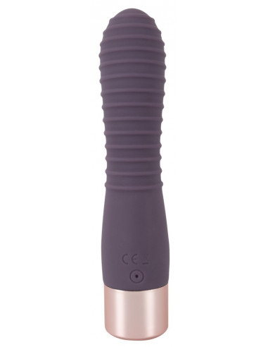 Elegant Vibrator Flexy Vibe