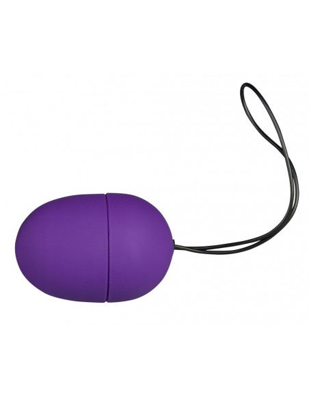 RC Purple and Silky Vibro-bullet