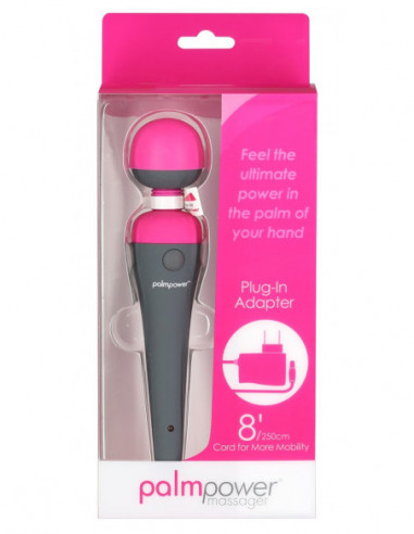 PalmPower Massager