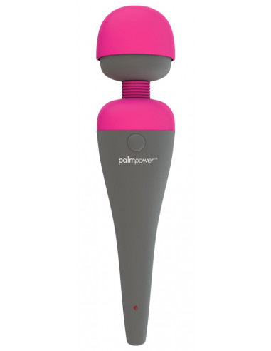 PalmPower Massager